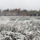 Photo by Adam Ward/ CTV Barrie